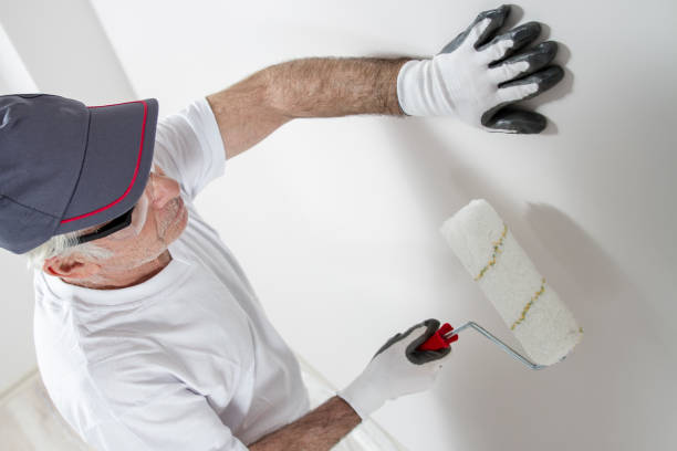 Best Drywall Crack Repair  in Conway, FL